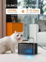 71k0QLvzUNL._AC_SL1500_.jpg